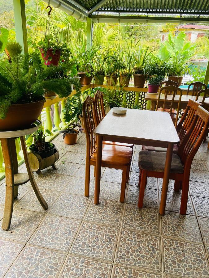 סלאזי Chambres D'Hotes L'Orchidee Rose מראה חיצוני תמונה